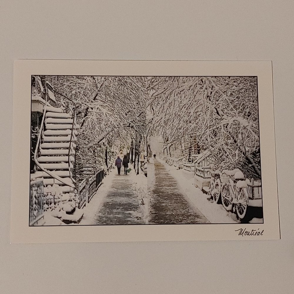 BEAUTIFUL MONTREAL City Postcard Michael Degray Rainy Day After The Snowstorm